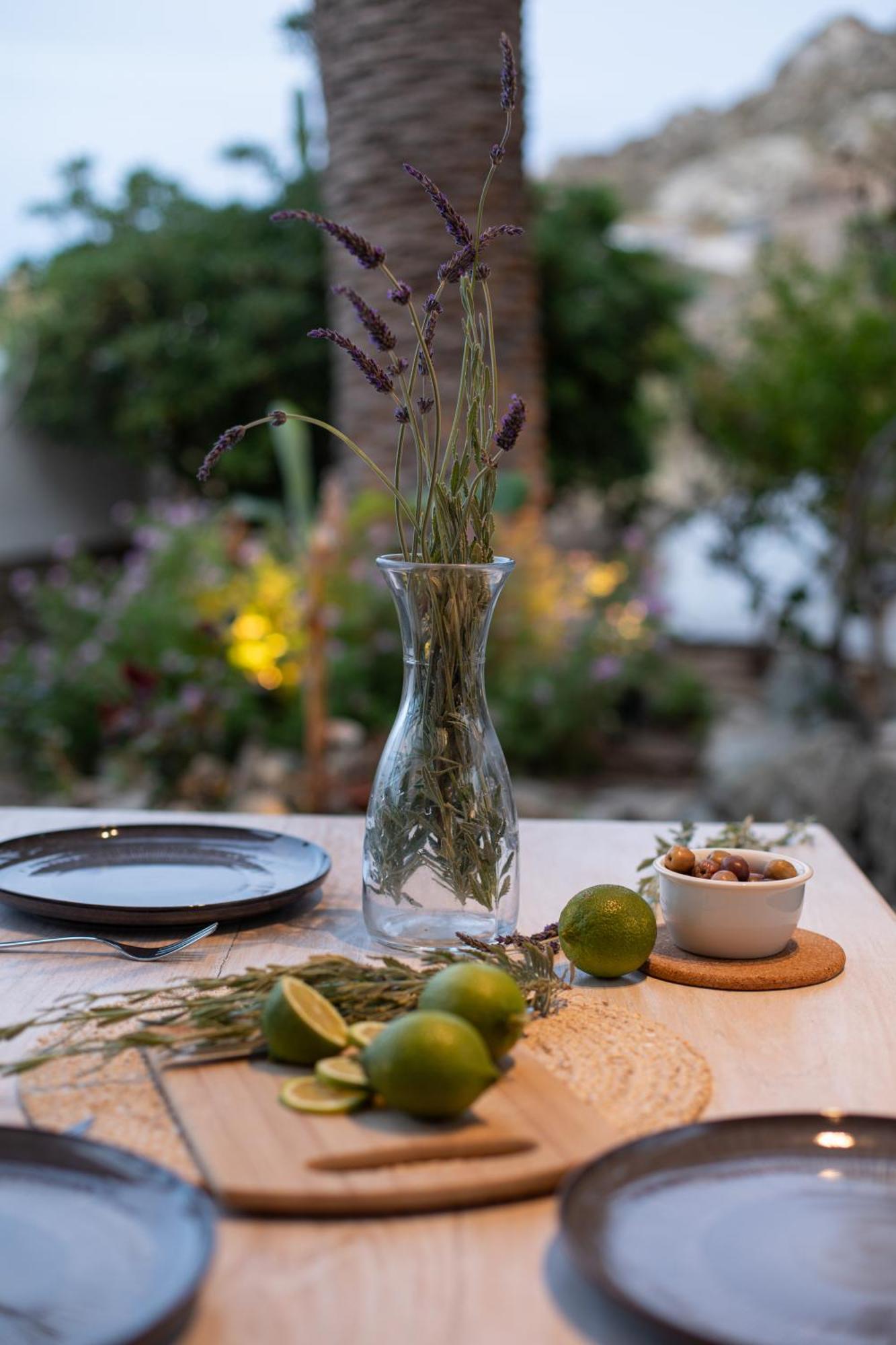Levantes House Mykonos Ano Mera Eksteriør bilde